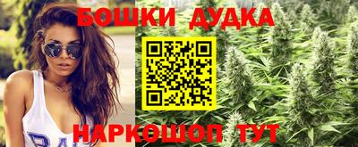 таблы Гудермес