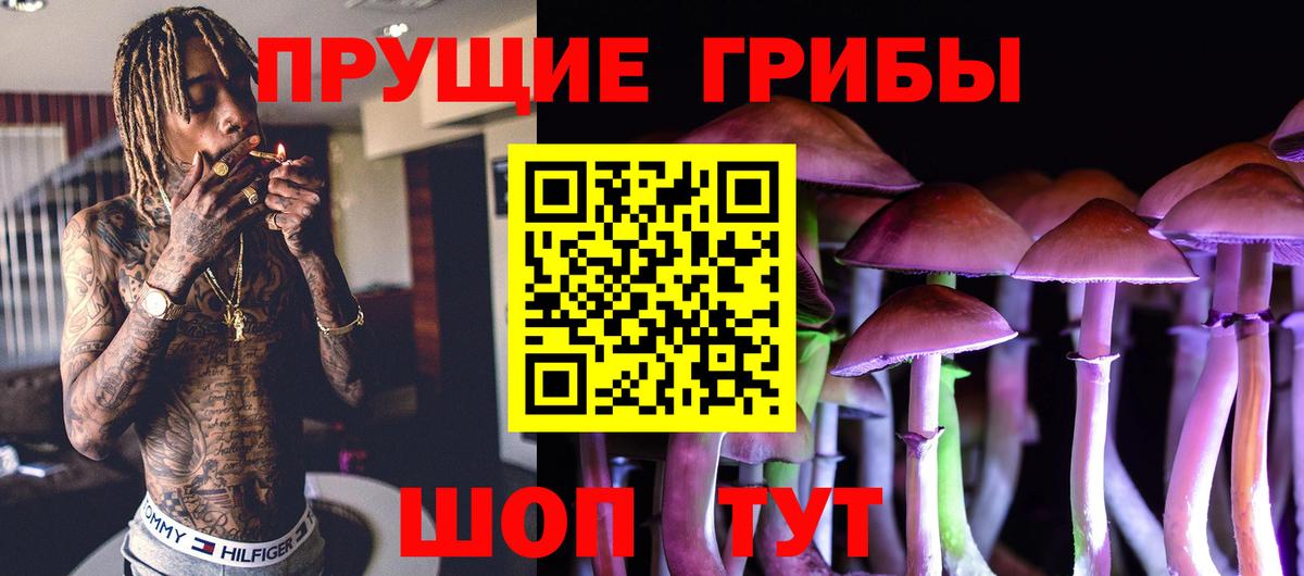цена   Вход с VPN  Новошахтинск  Псилоцибиновые грибы мухоморы 